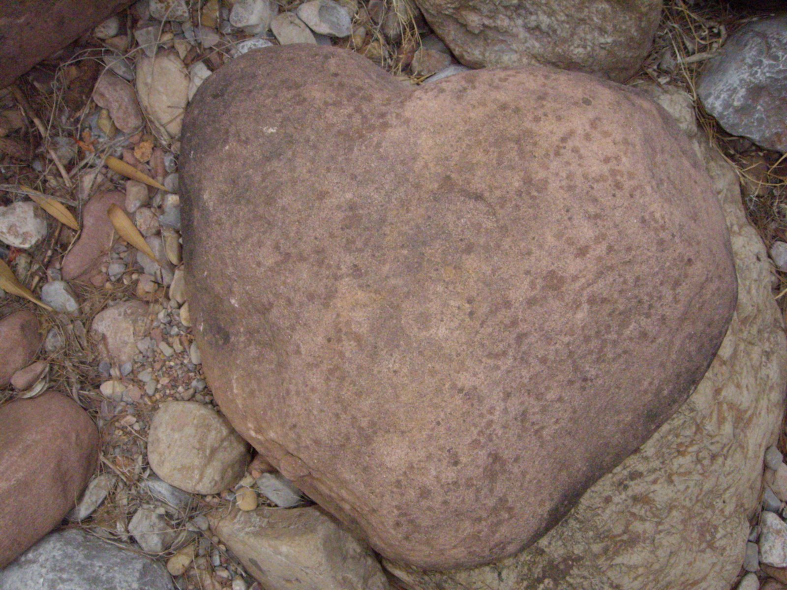 [olocau2007+026.jpg]