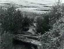 Creek off of Lake Michigan