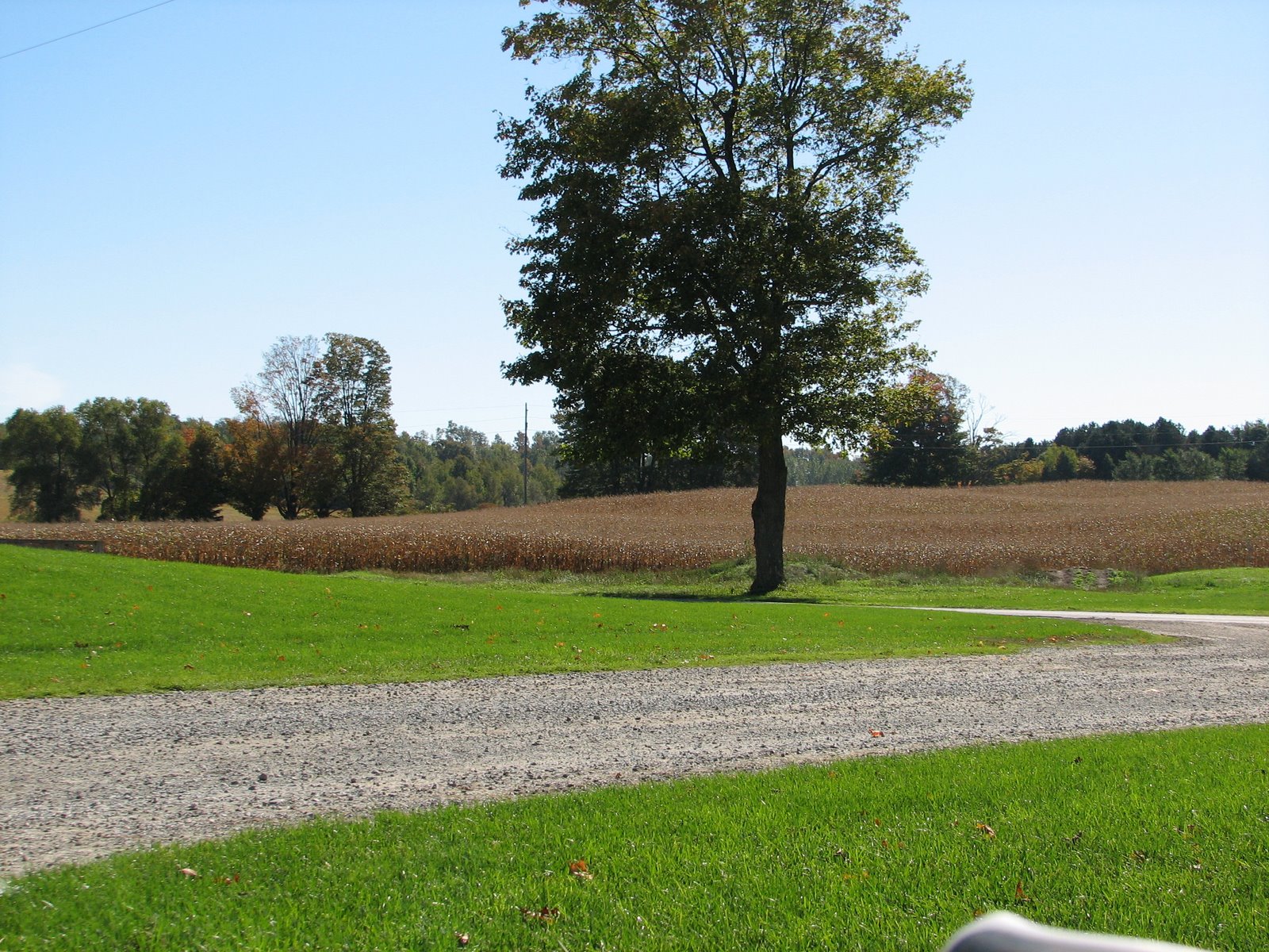 [IMG_2470[1]]