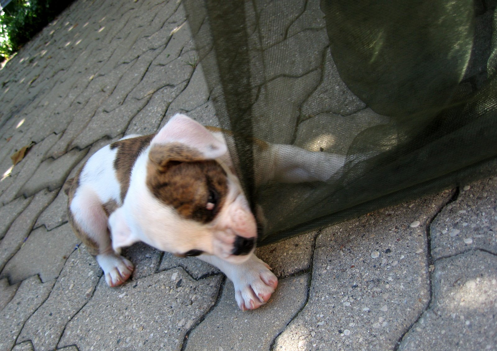 [IMG_7094_edited.JPG]
