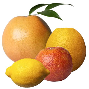 Citrus Marindate