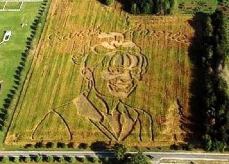 [palin-cornfield-maze.jpg]
