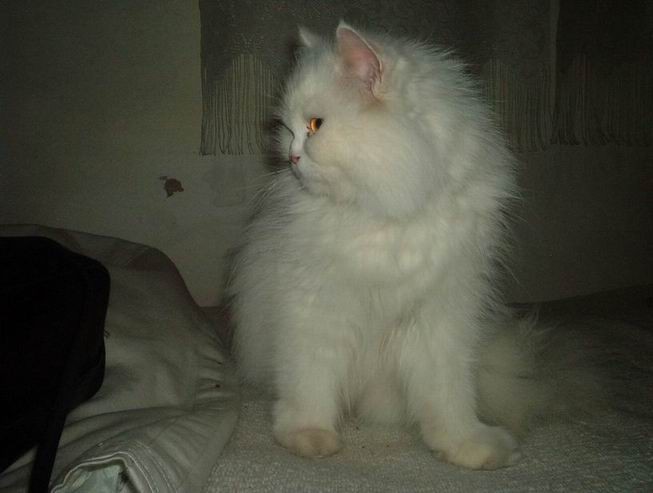 [Bianca+perfil.jpg]