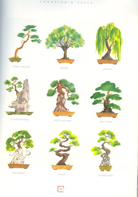 Bonsai Tree Styles
