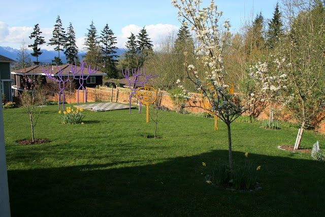 Flowers and Weeds: Planting Decisions - More Fruit Trees, and Front Yard