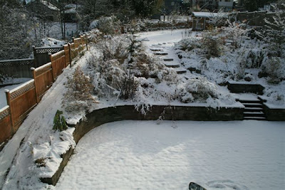 Snowy garden scene