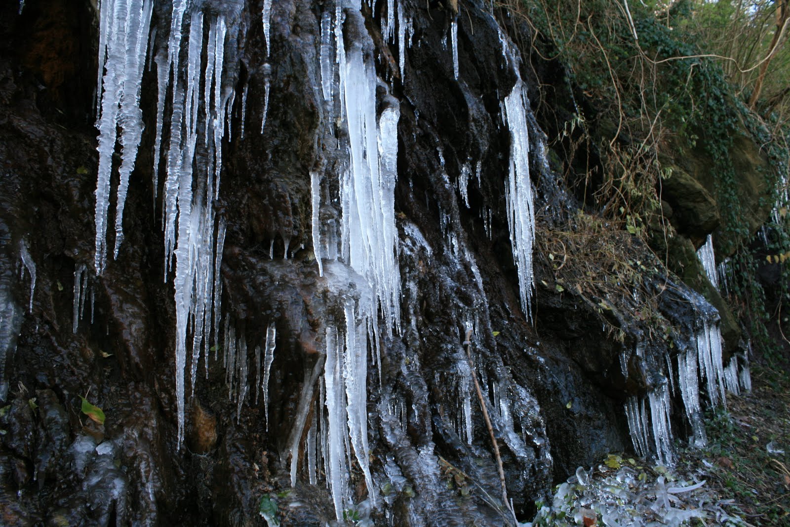 [IMG_4324.JPG]