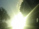 Sunlight