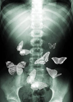 butterflies in stomach demeanor