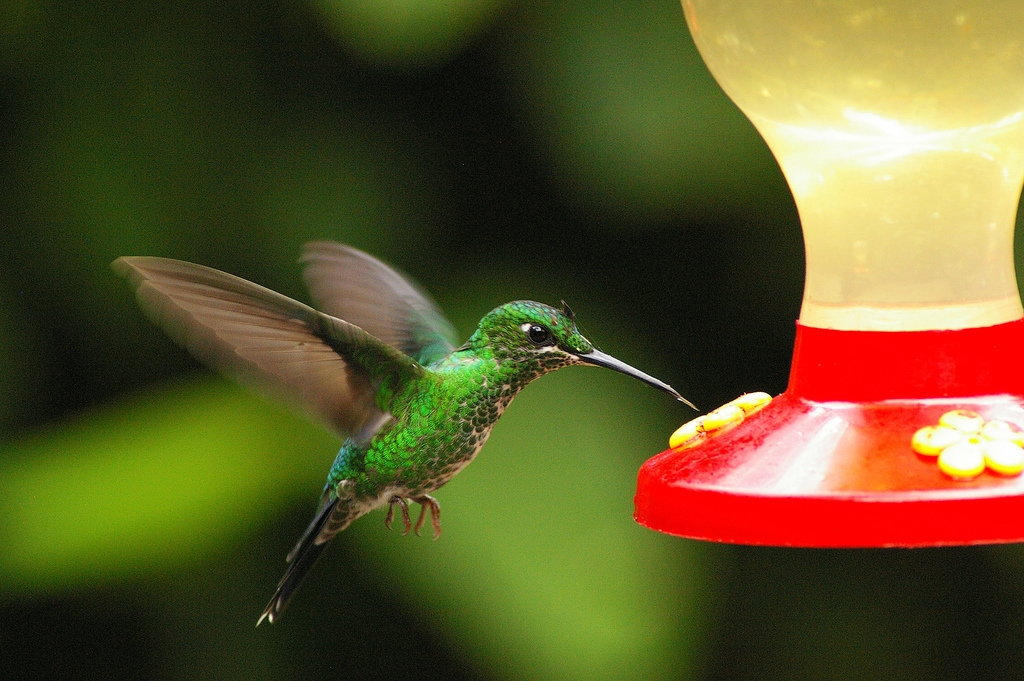 2011 wallpaper pc 3d. desktop wallpaper pc 3d. 2011 wallpaper pc 3d. desktop