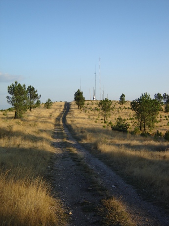 [DSC01419.JPG]