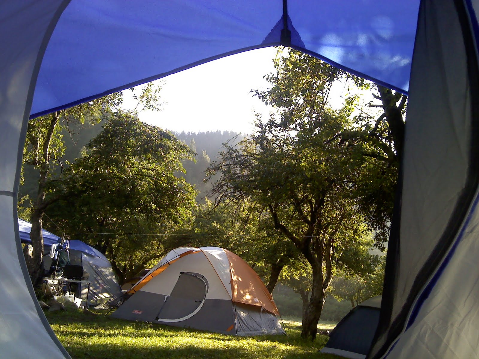 Polsat Sport Ekstra Hd Program animationdevelopers