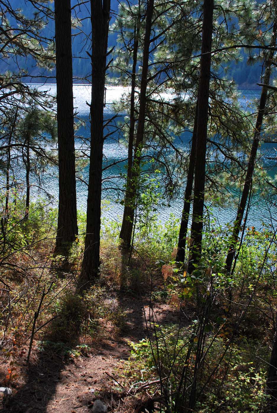 outside of the bubble Farragut State Park