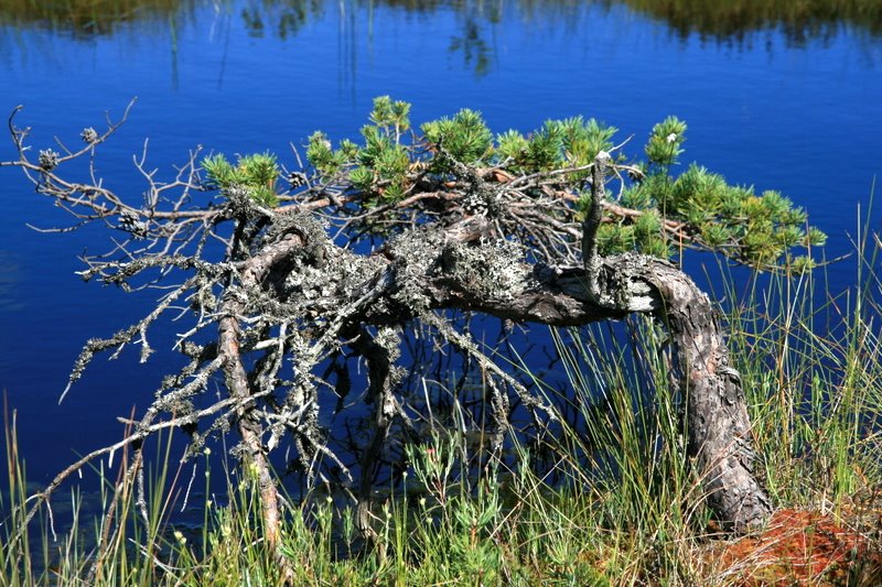 [IMG_1032.JPG]