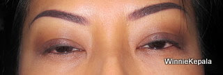 Eyebrow Embroidery - after 2 sessions