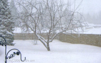[snow+Tues+Mar14+2006.jpg]
