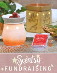 Buy Scentsy