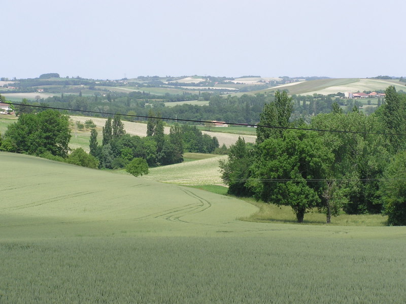 View from third bedroom