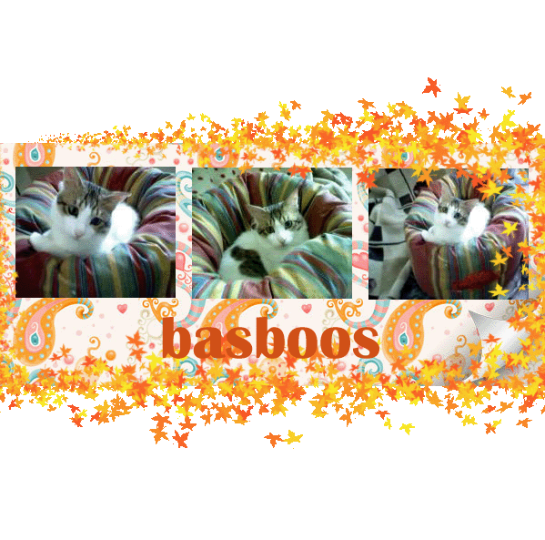 basbooos