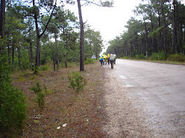 Caminho a Seguir