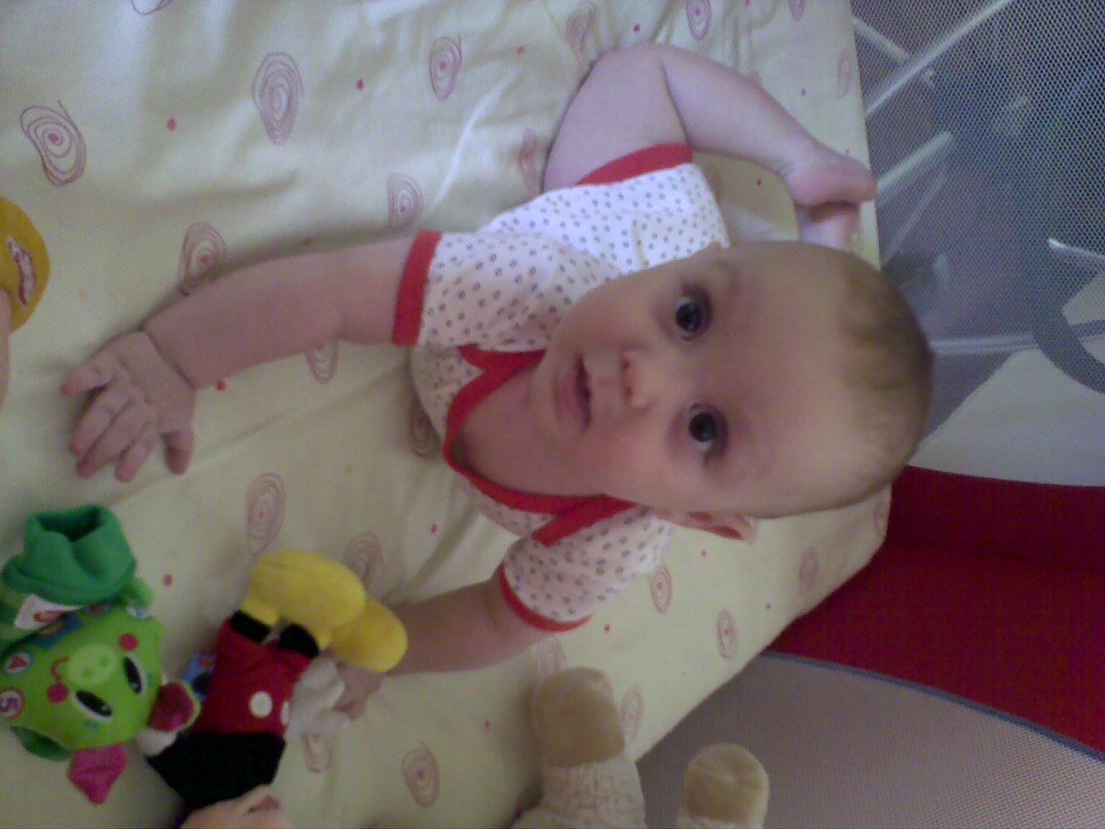 7 aylık bebeğin gelişimi Bebegim Geliyor 7 aylık bebeğin gelişimi Bebegim Geliyor