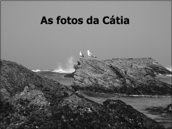 As fotos da Cátia