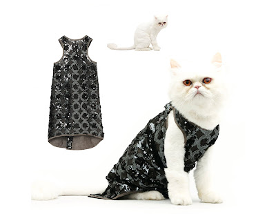 fashionable-cats-02.