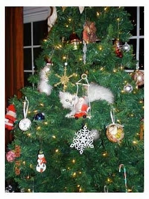 Funny cat and christmas