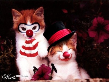 Animals-clowns-photoshopped-01.jpg
