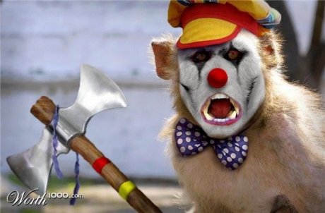 Animals-clowns-photoshopped-12.jpg