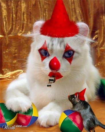 Animals-clowns-photoshopped-10.jpg