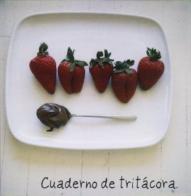 Cuaderno de tritácora