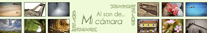 Al son de... mi cámara