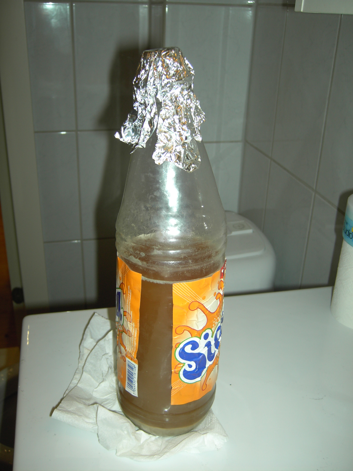 [PICT0572.JPG]