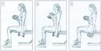 Halteres: Exercícios para tonificar a Mulher! image-221