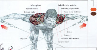 TRAPEZIO1.jpg