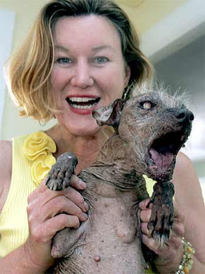 Cachorro+mais+feio+do+mundo
