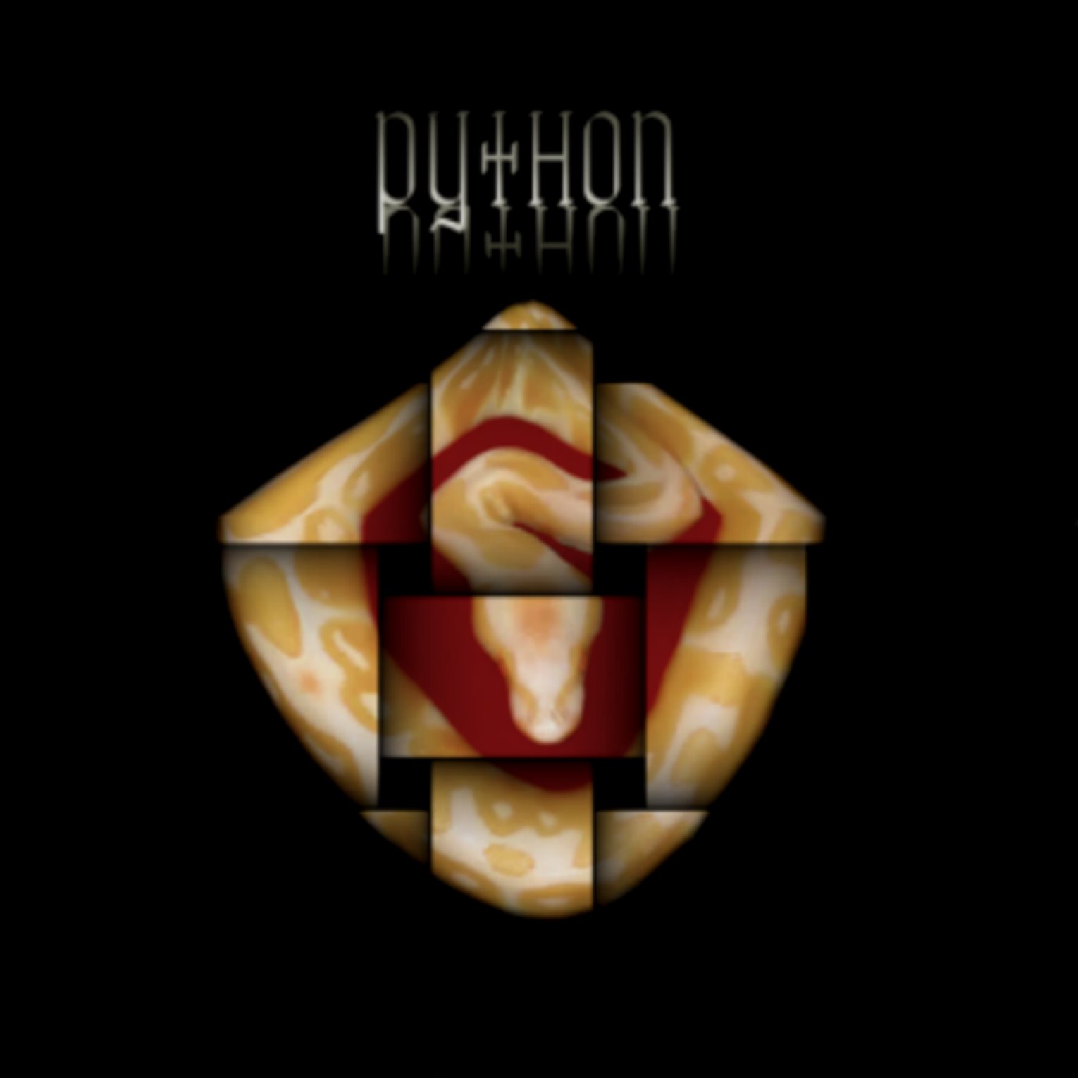 [Python+large.bmp]