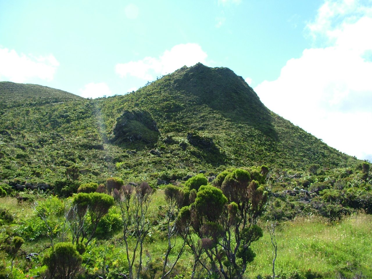[DSCF2210.JPG]