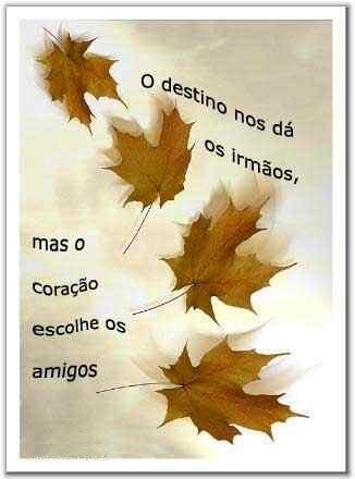[amizade2.bmp]