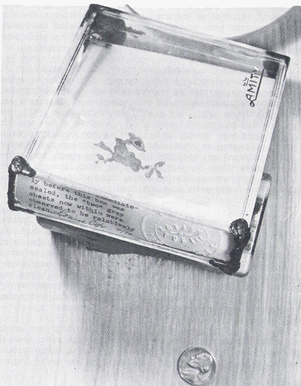 [Sorrat-HeatBird.jpg]