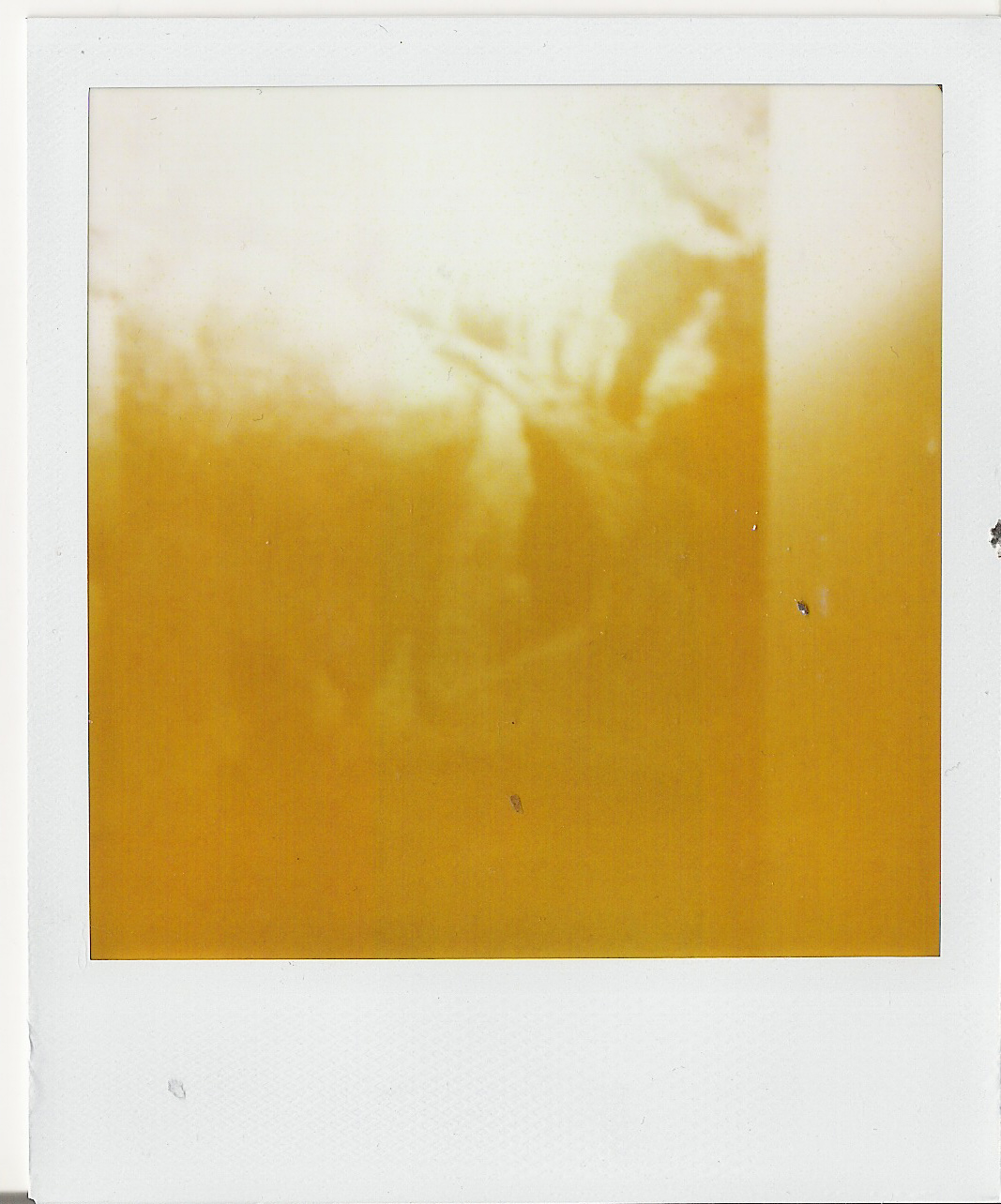 [Photo01_ExperimentalPhoto.jpg]