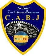 TE PRESENTAMOS EL ESCUDO DE BOCA JUNIORS FILIAL MEXICO