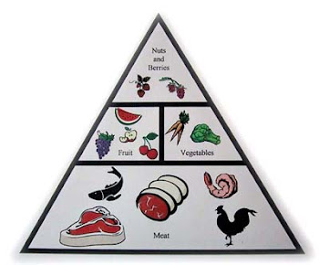 Healthy+food+pyramid+template