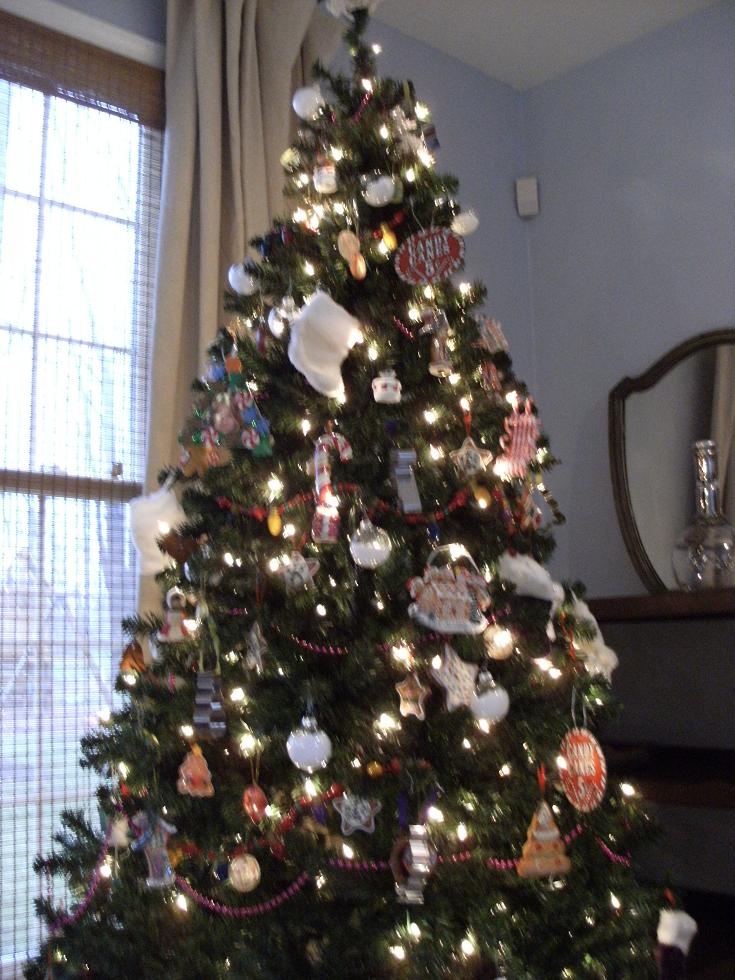 [Tree.JPG]