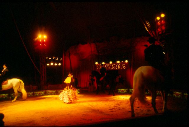[CIRCUS+(9)+copy.jpg]