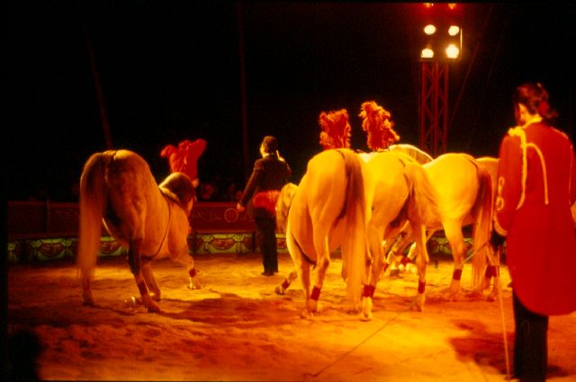 [CIRCUS+(13).jpg]