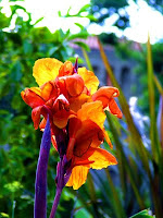 Jardin des Plantes, Montpellier