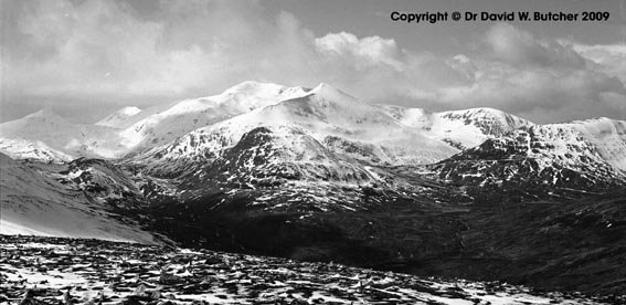 [grey-corries-fersit-034523.jpg]
