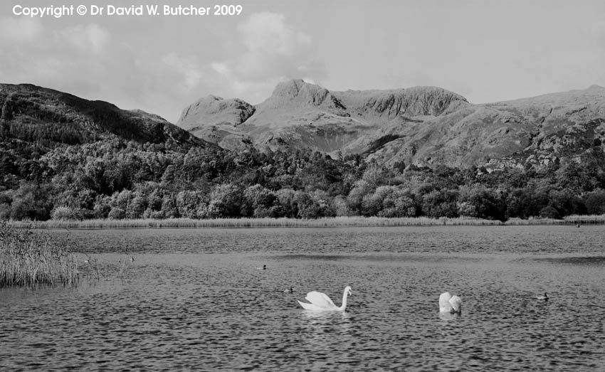 [lakes-langdales-elterwater-379602.jpg]